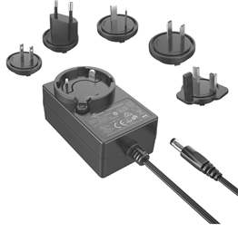 24W Interchangeable Power Adapter